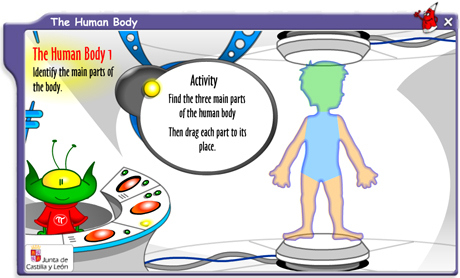 Phi and the human body. 