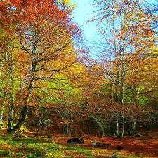 En el fondo de la caja de Pandora (portafolio de Ricardo Quevedo Blanco)