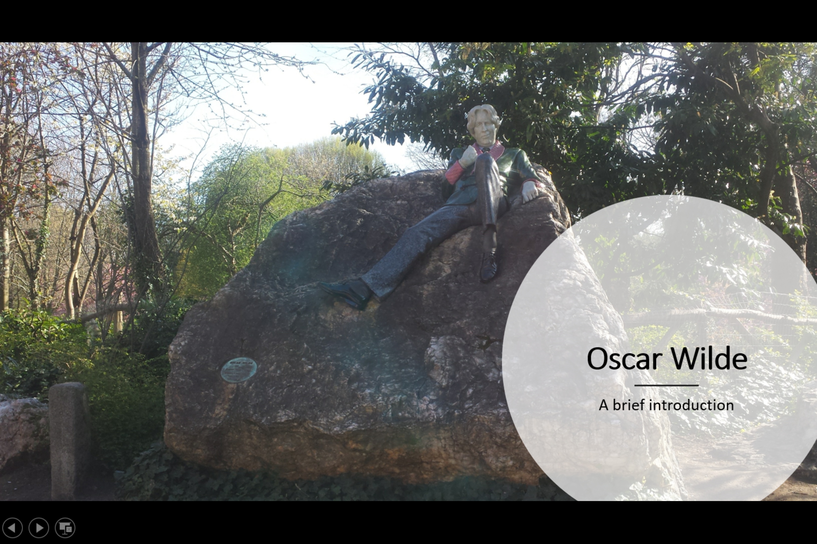 Mi primer proyecto: Conociendo a Wilde