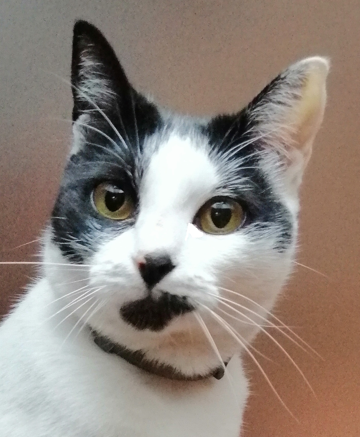 users photo Francisco