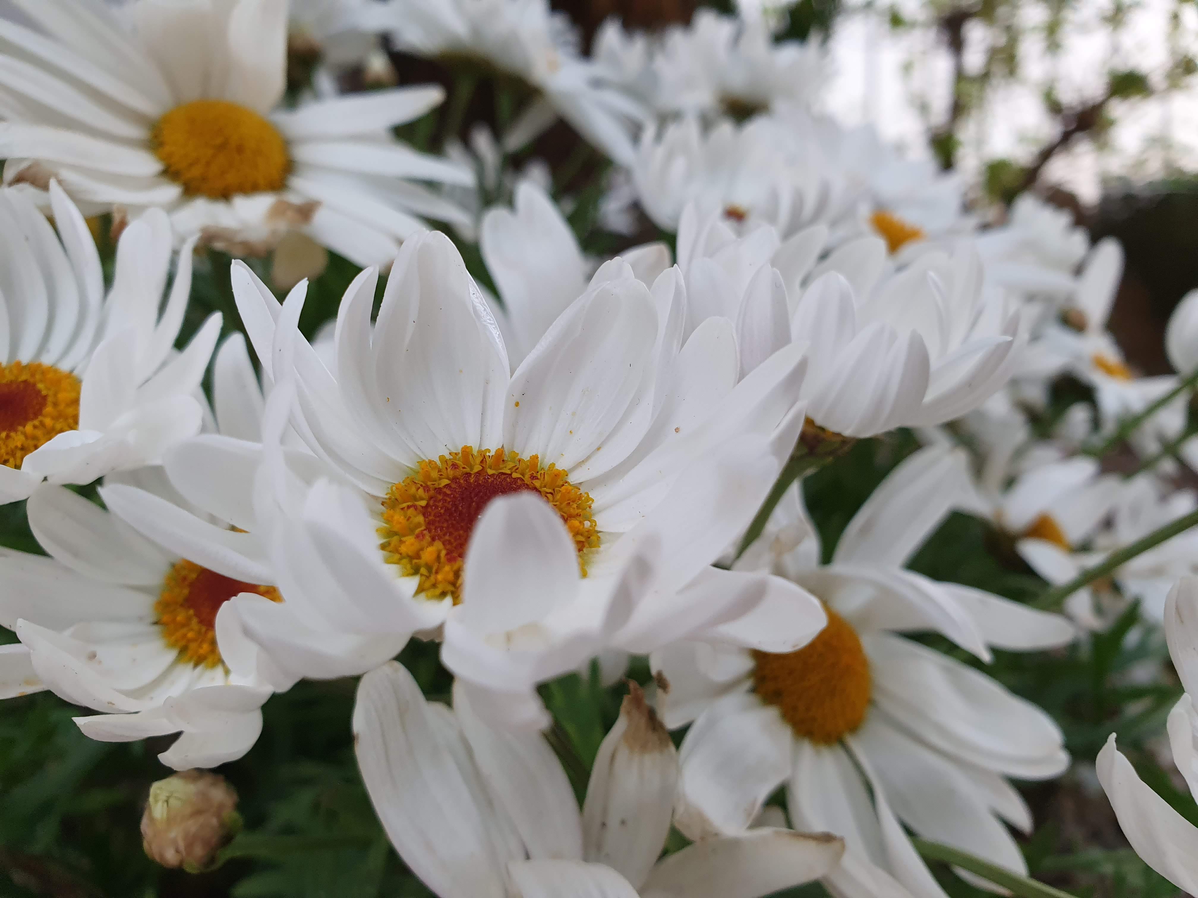 users photo Cristina