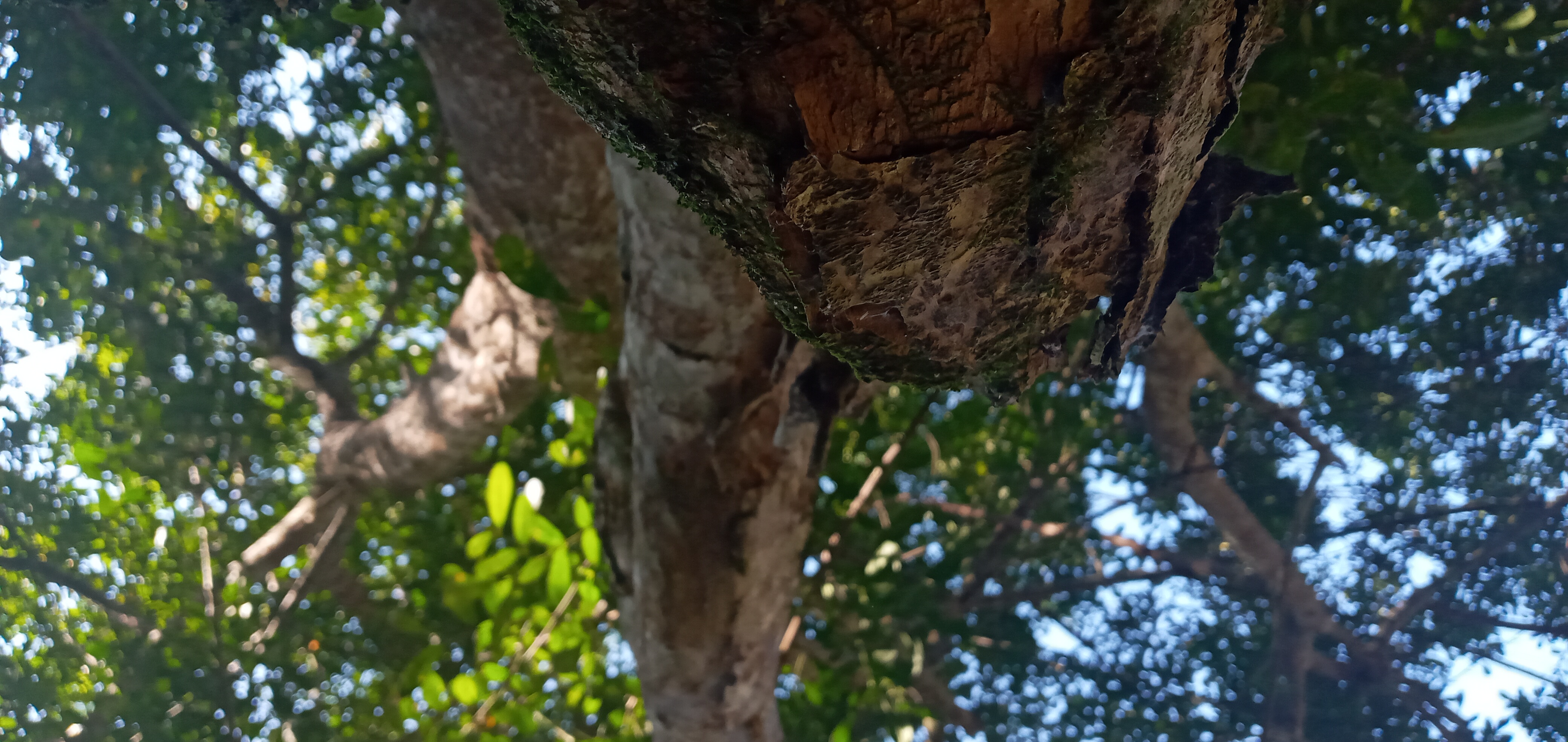 users photo Fernanda 