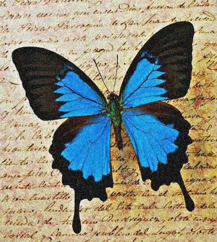 users photo MARÍA ESTHER 