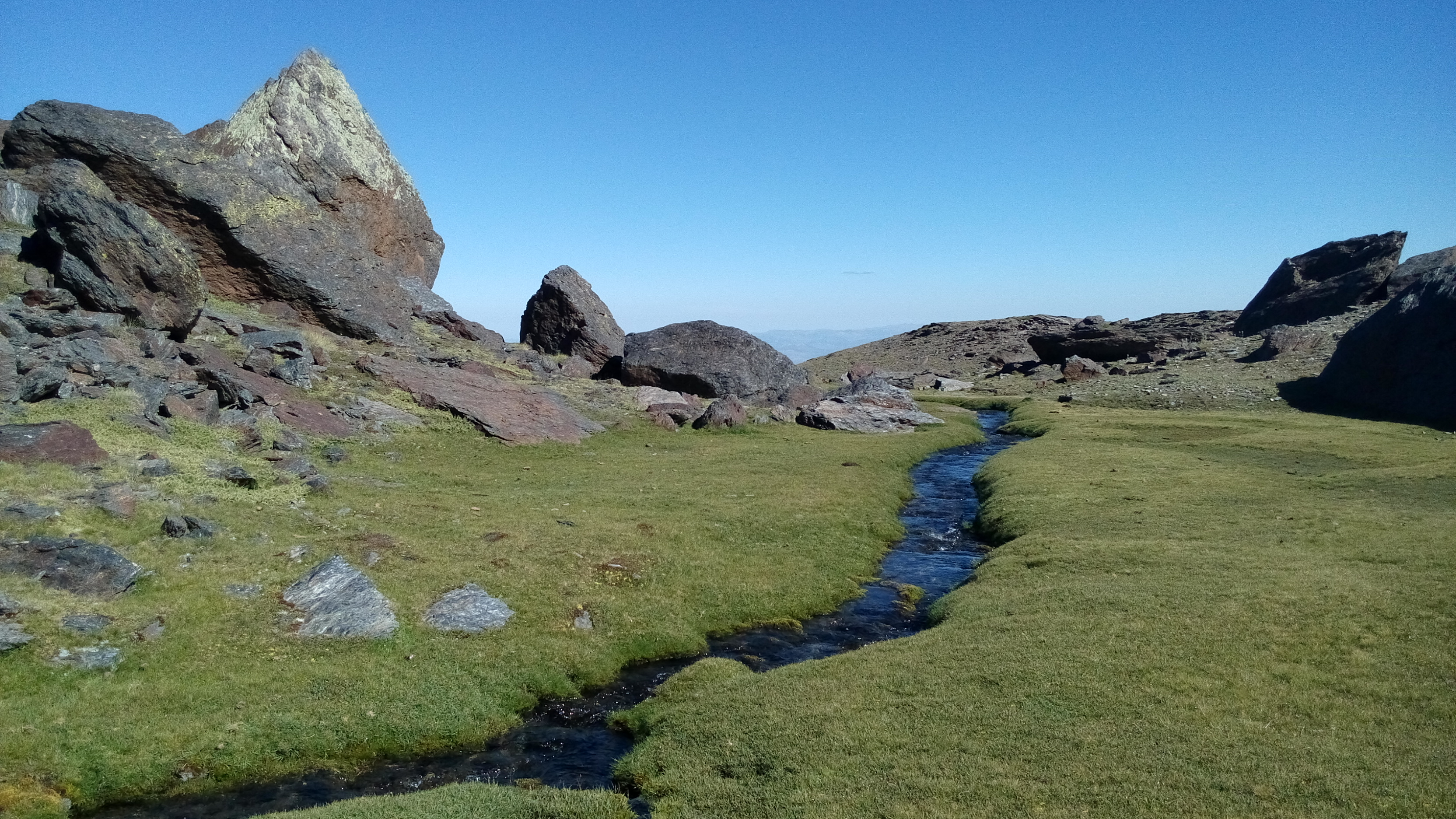 users photo Francisco Javier