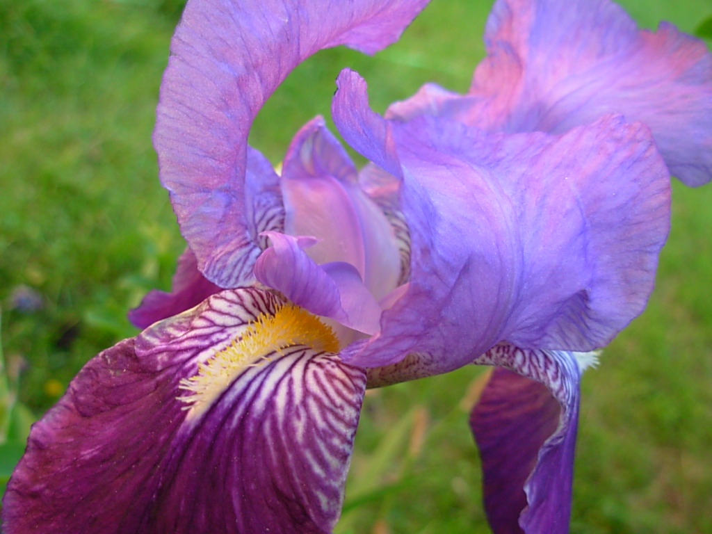 users photo María Reyes