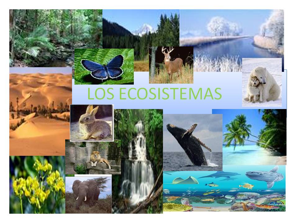 users photo MARIA DOLORES