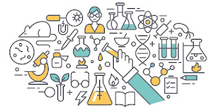 users photo Ana Rosario 