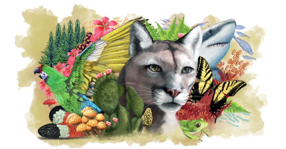 users photo María  de los Ángeles