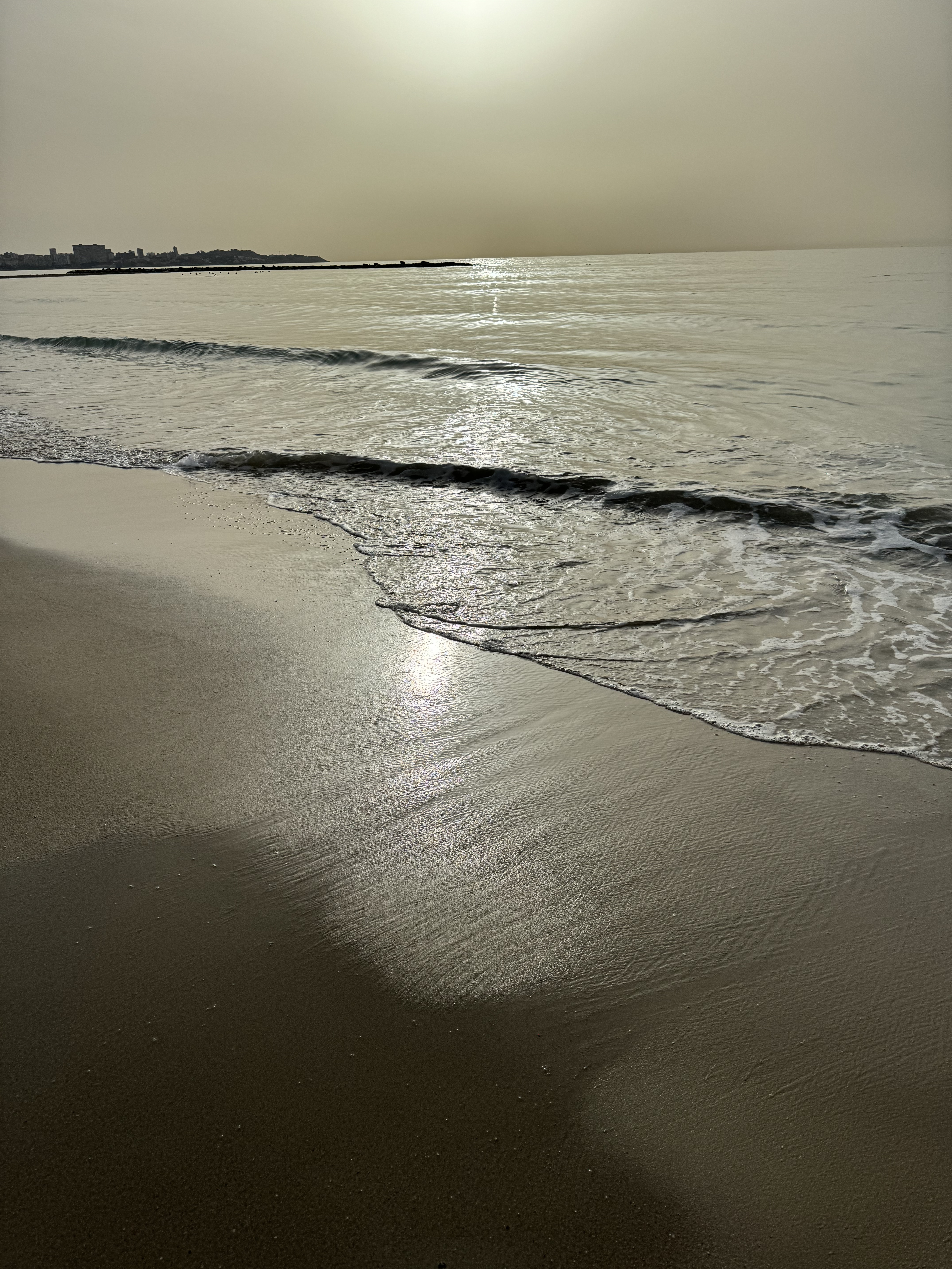 users photo Inmaculada