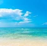 users photo Carolina