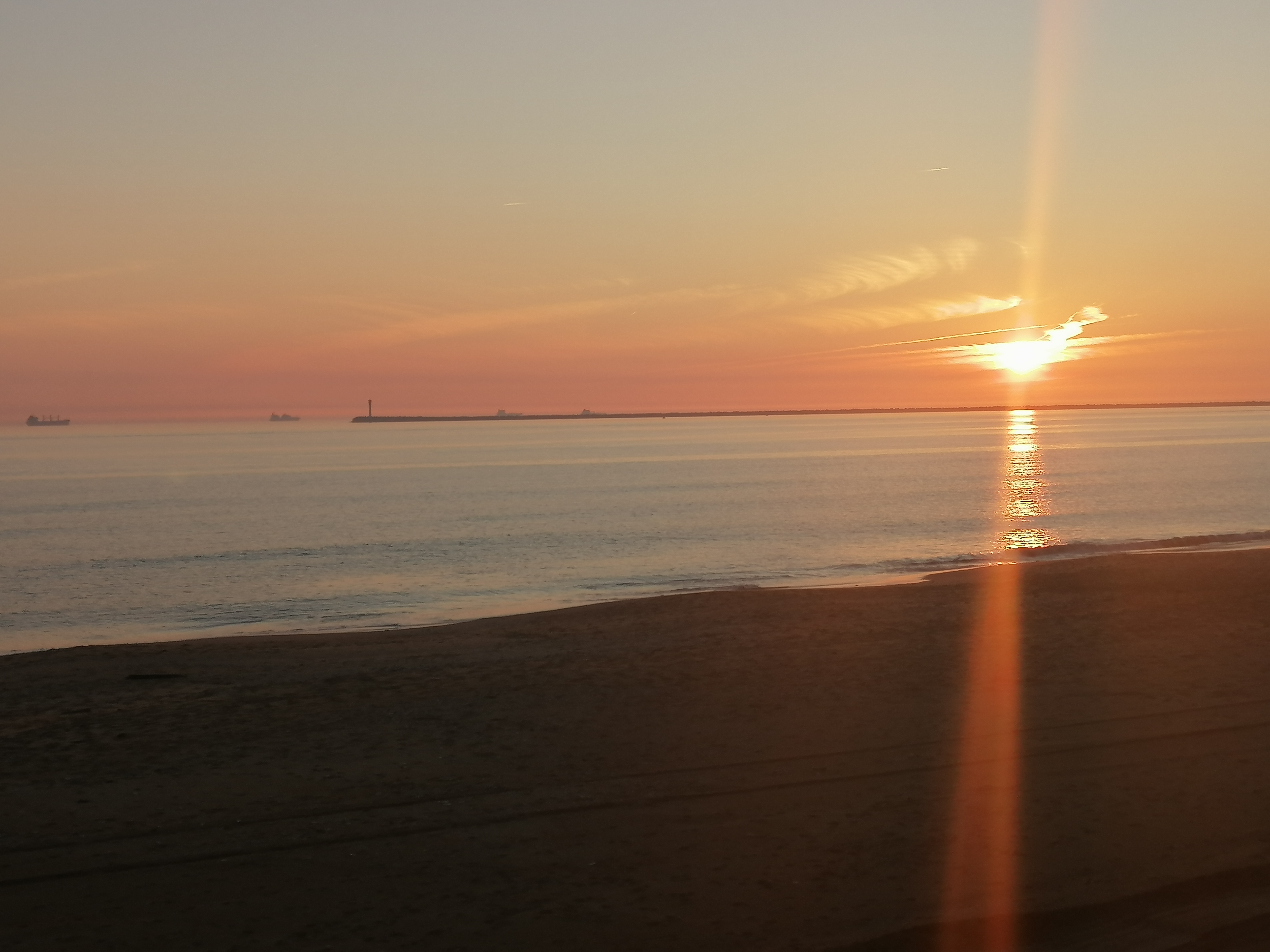 users photo ISABEL PASTORA 