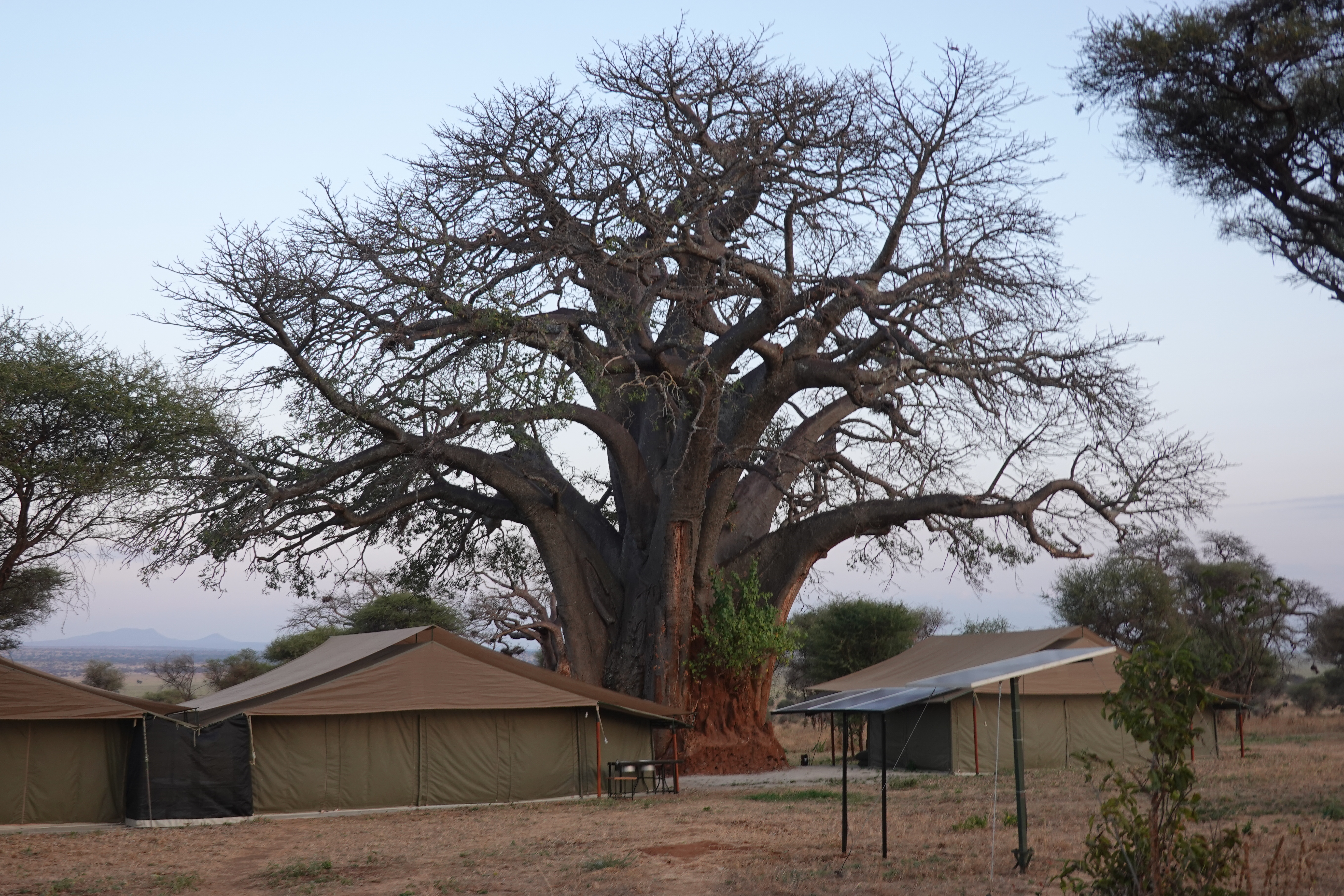 users photo remedios isabel