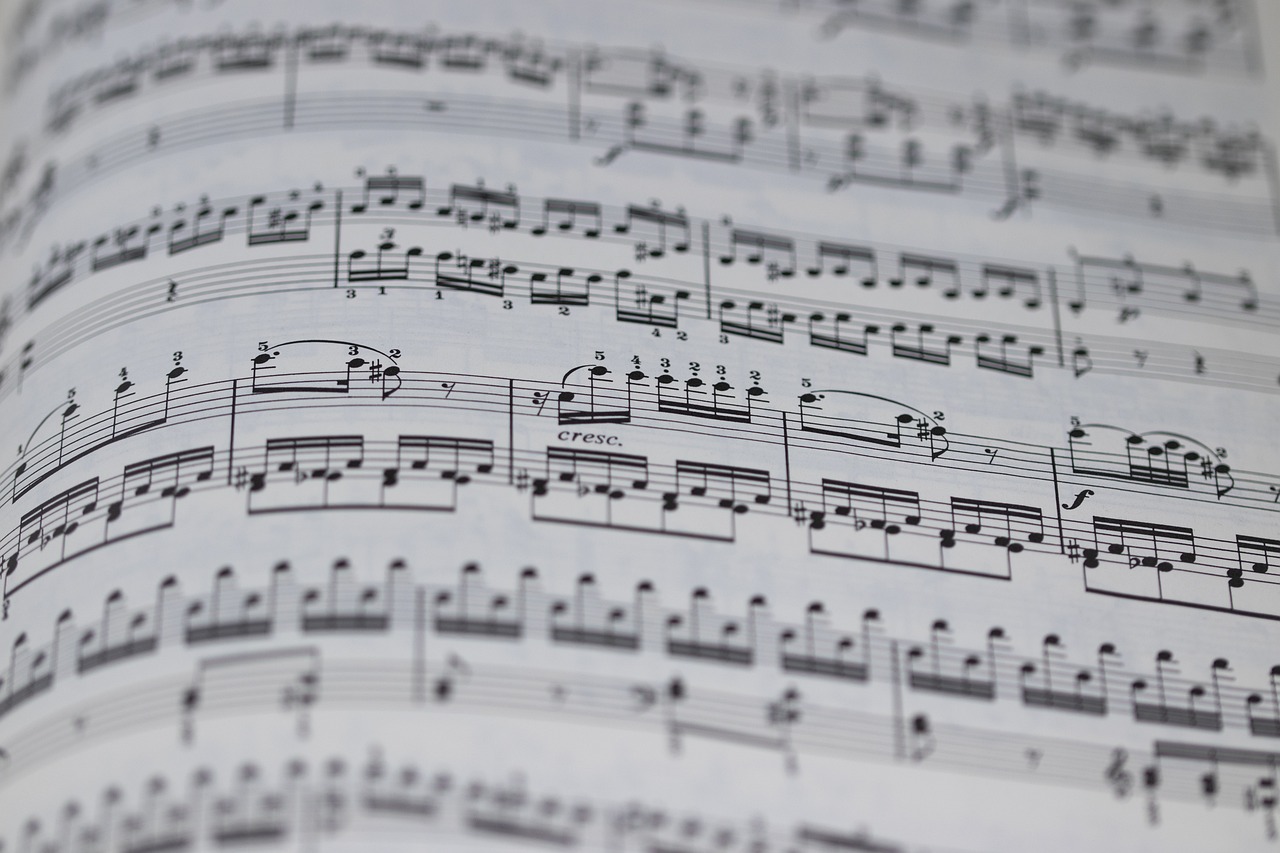 users photo Mª Leticia 