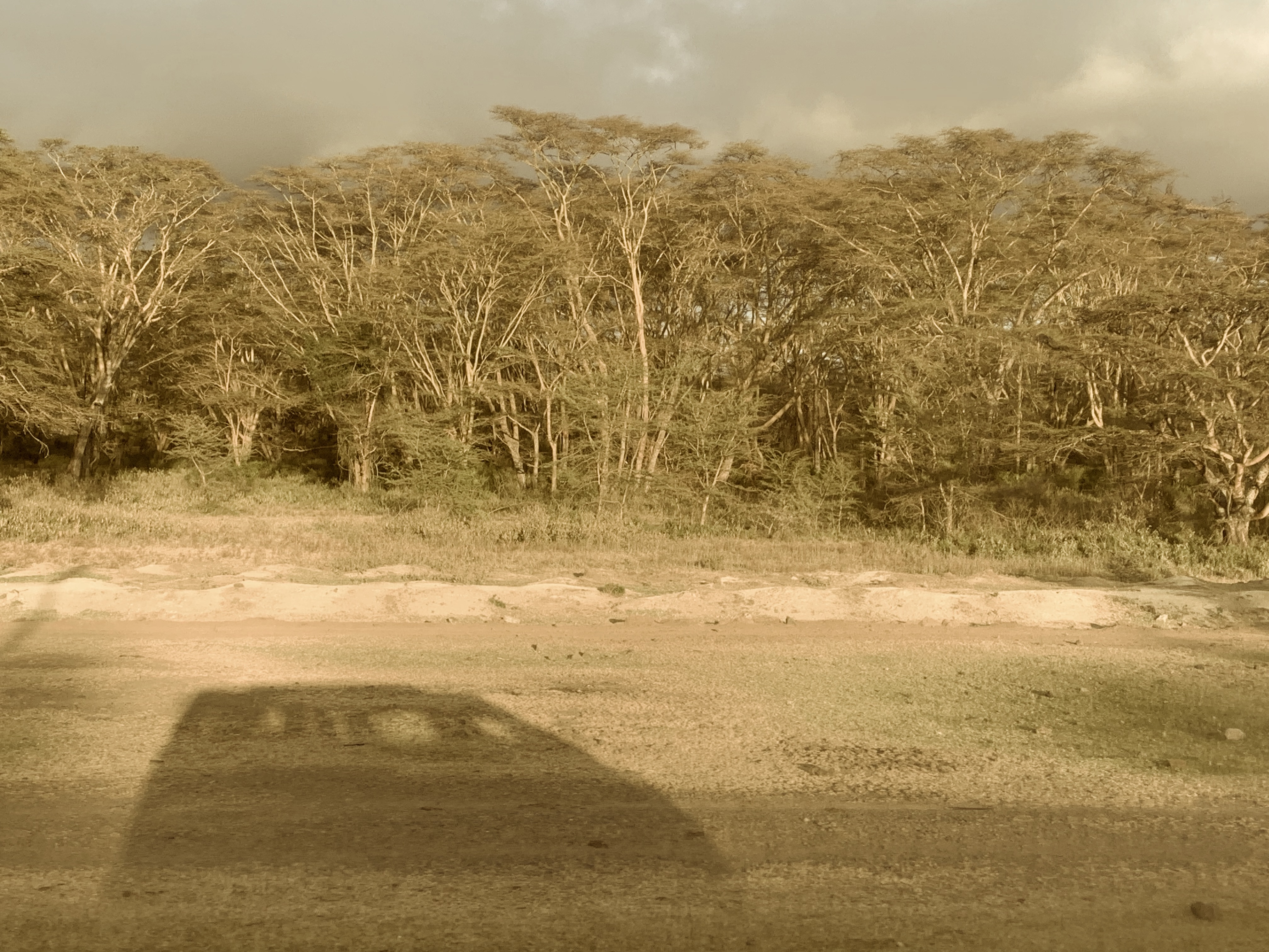 users photo mauricio