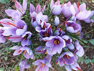 users photo Encarnación