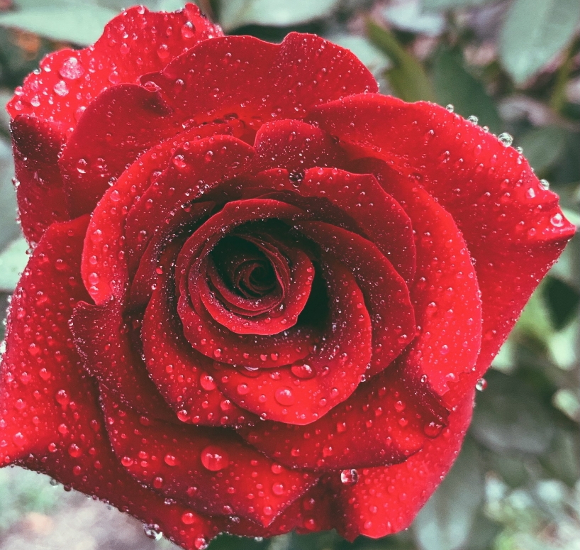 users photo MARIA DEL CARMEN