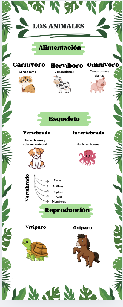 users photo Graciela