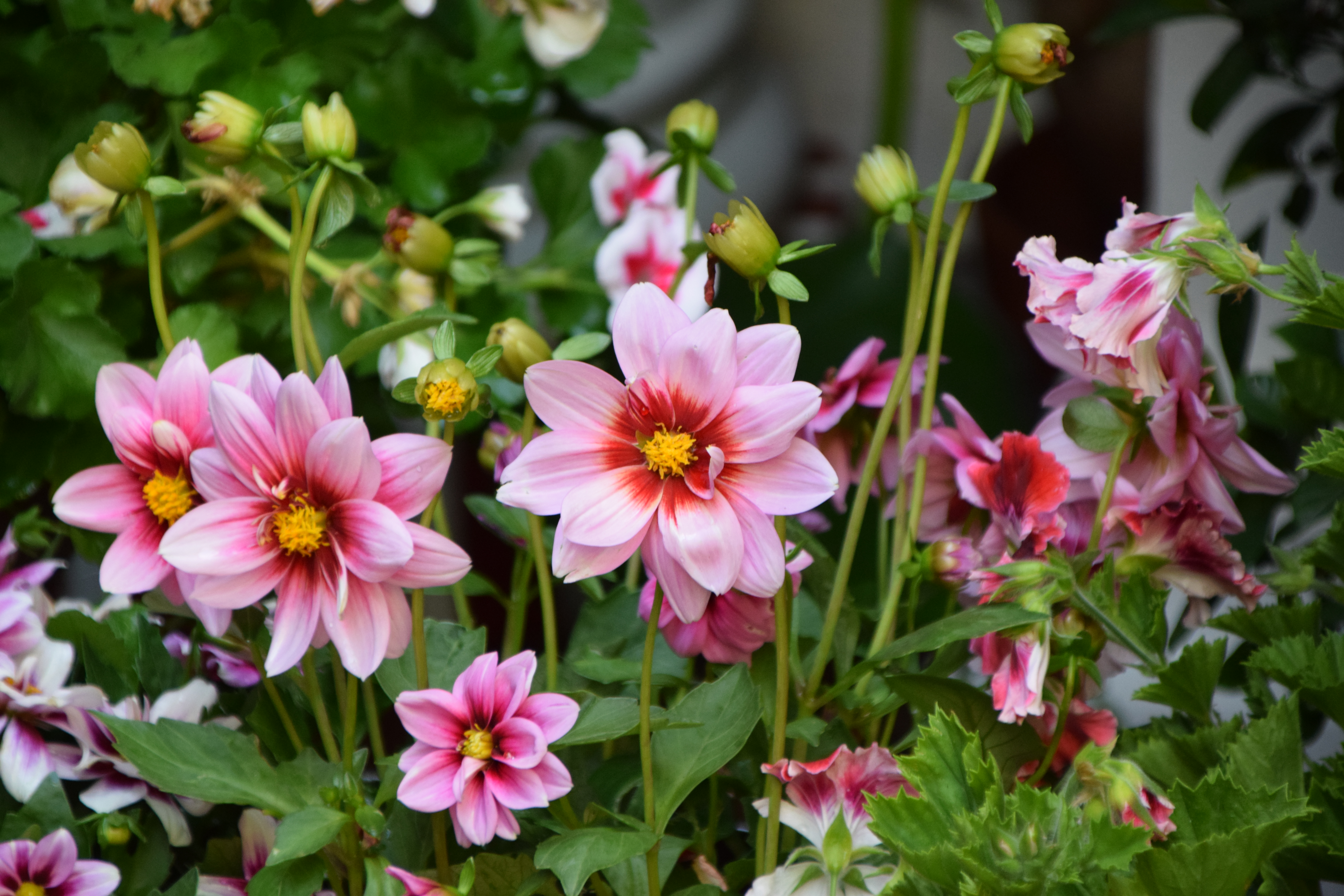 users photo MARÍA JOSÉ