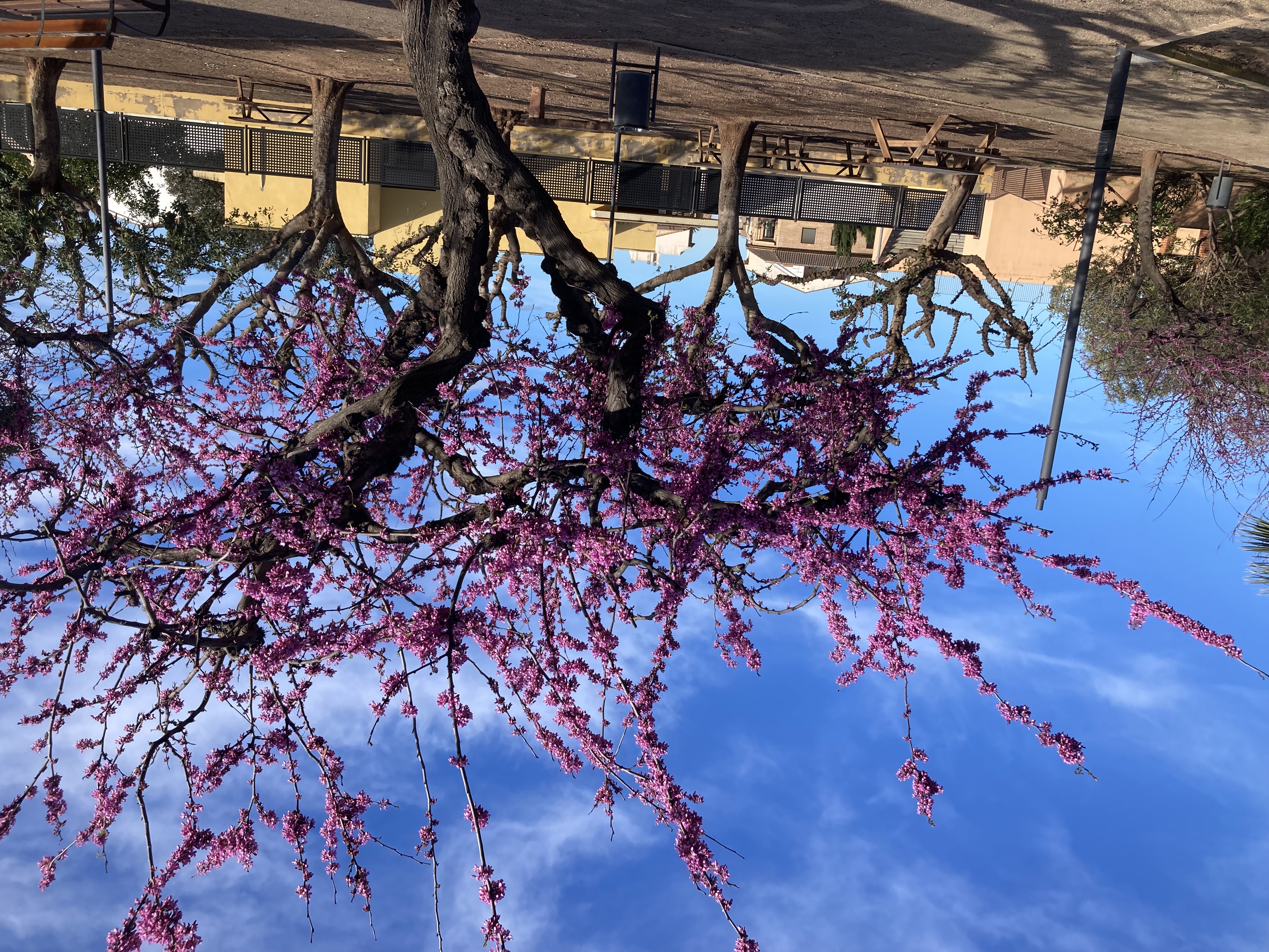 users photo JOSÉ MARÍA