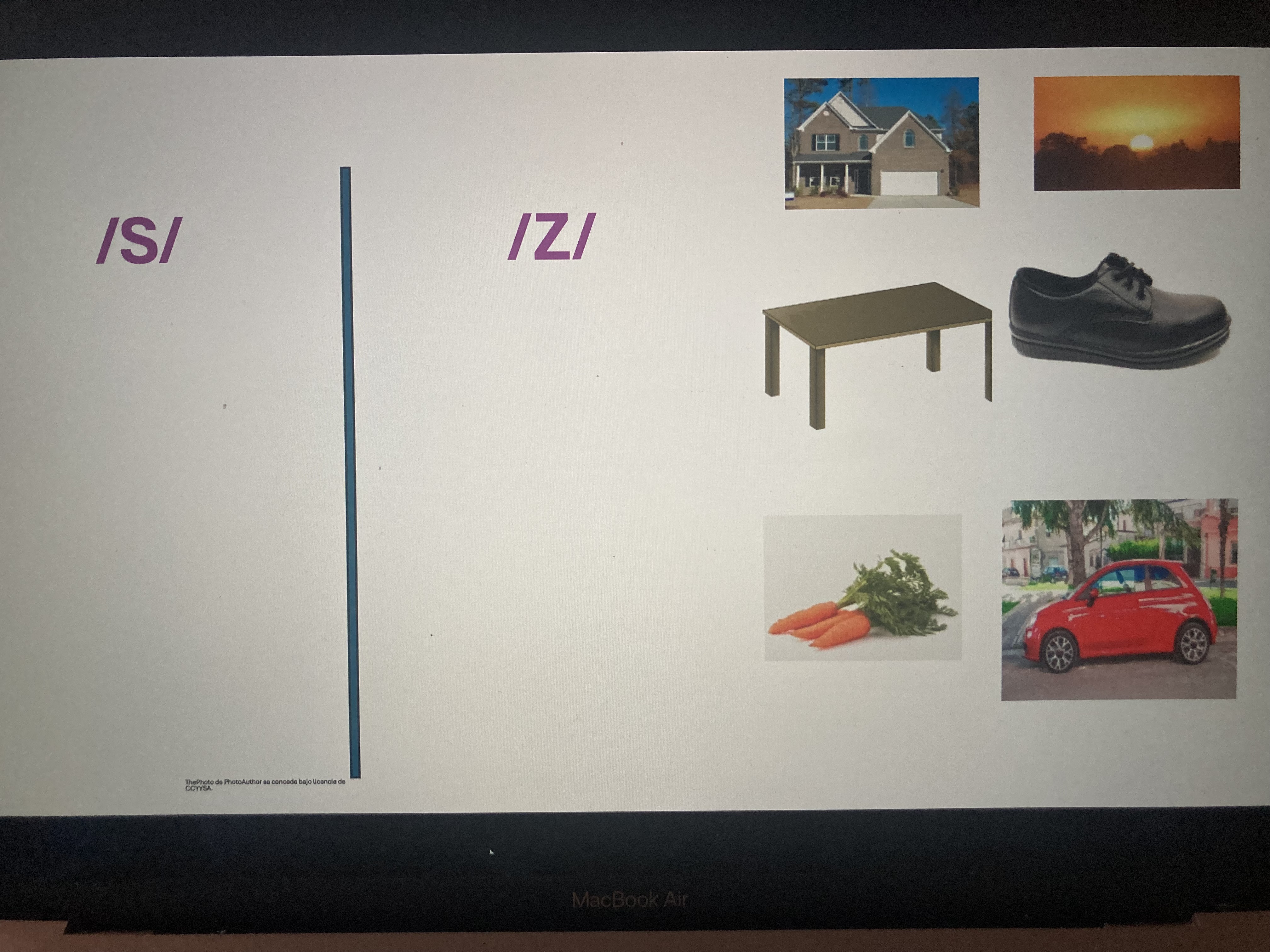 users photo patricia