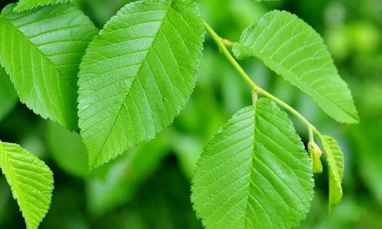 users photo Ángeles