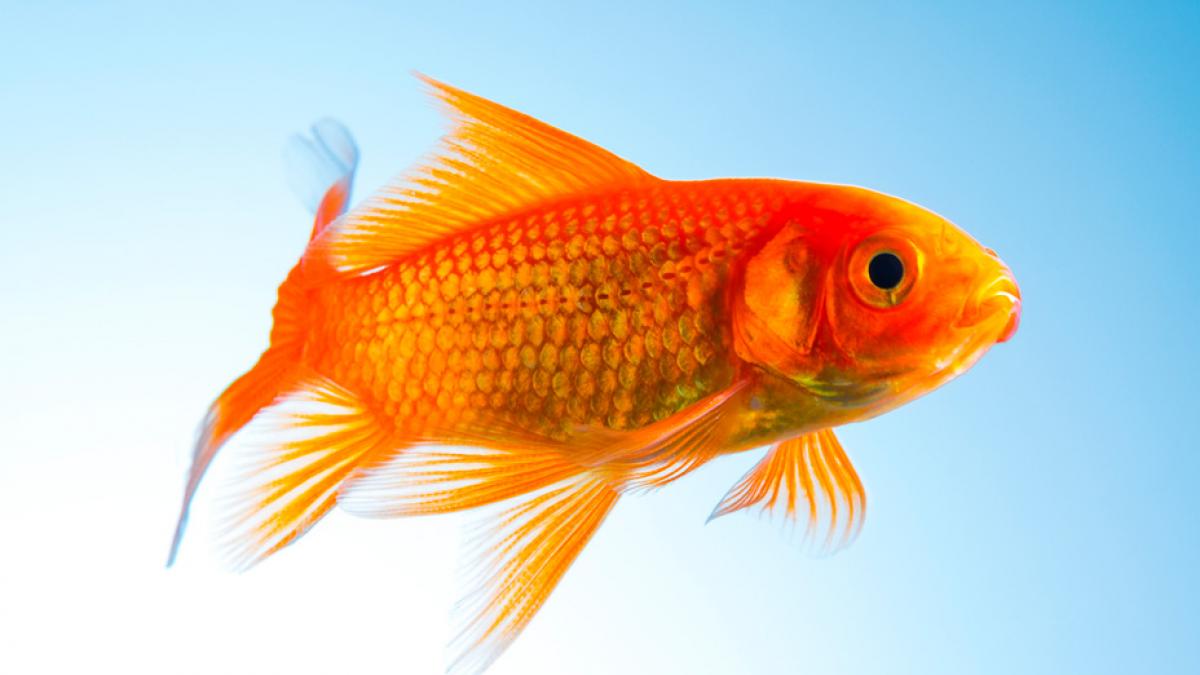 users photo maria dolores