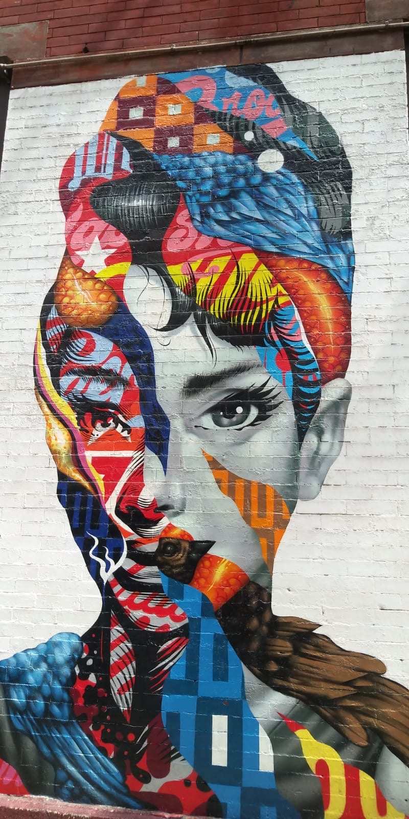 users photo INMACULADA GEMA