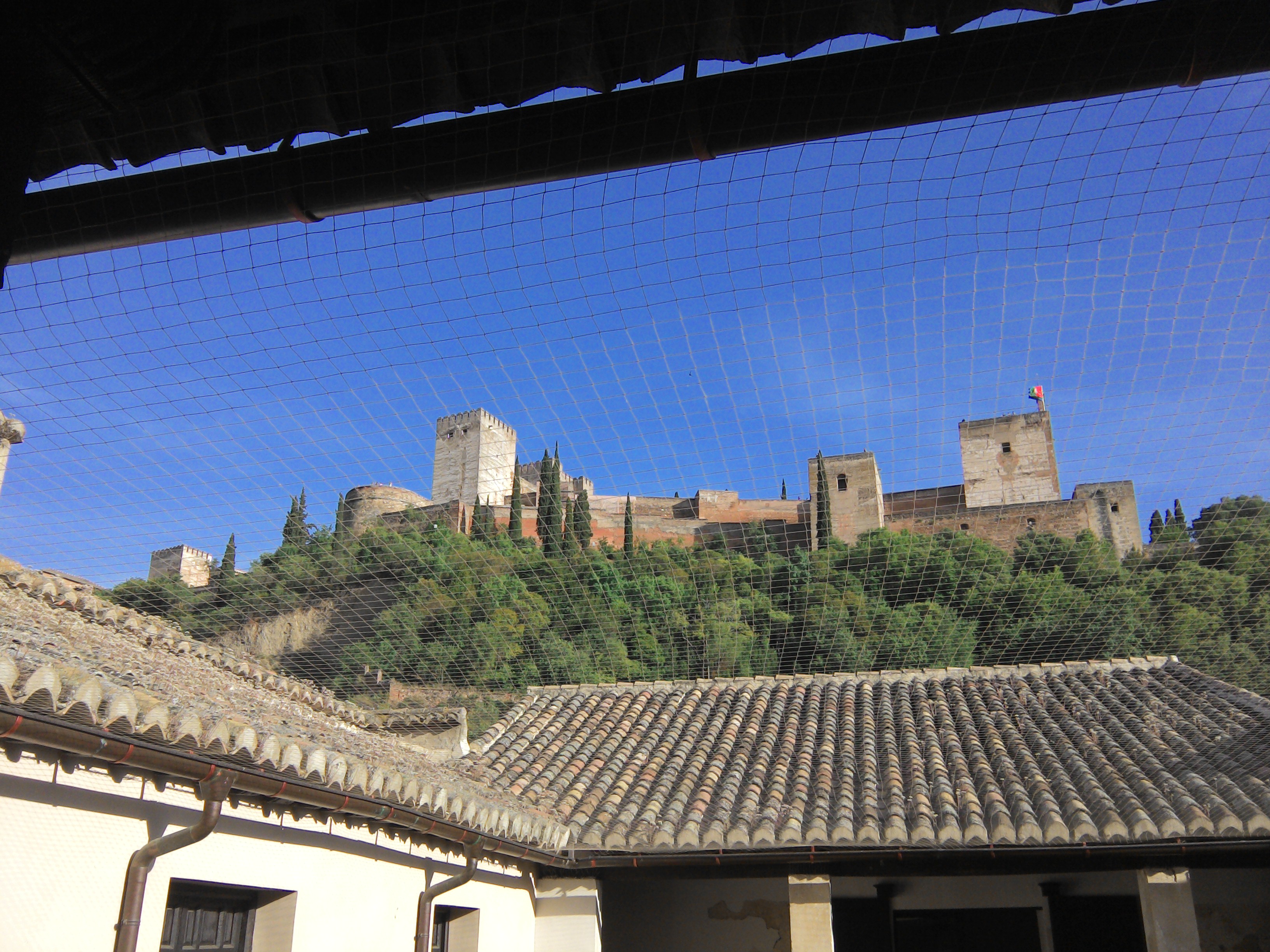 users photo María José