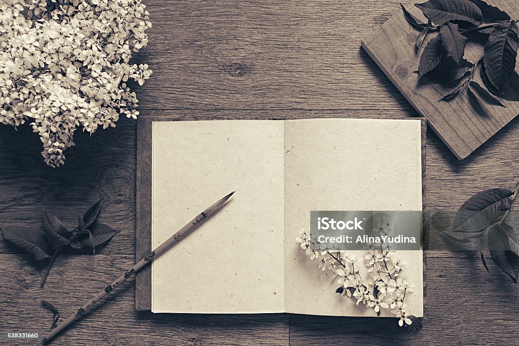 users photo María José