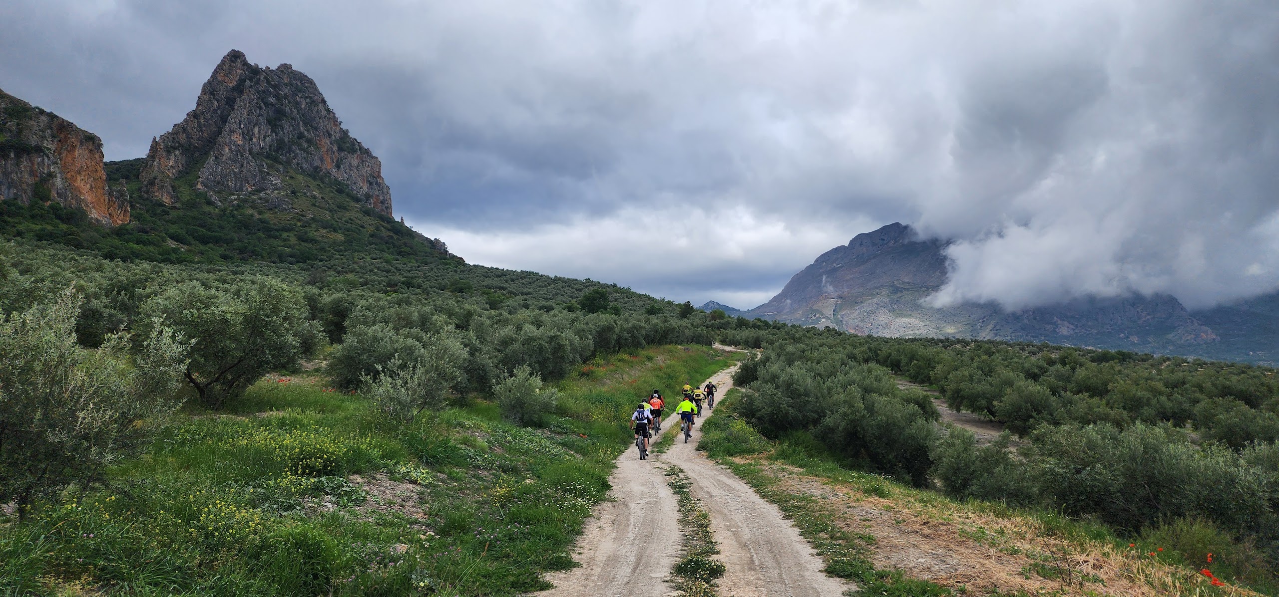 users photo Miguel Ángel