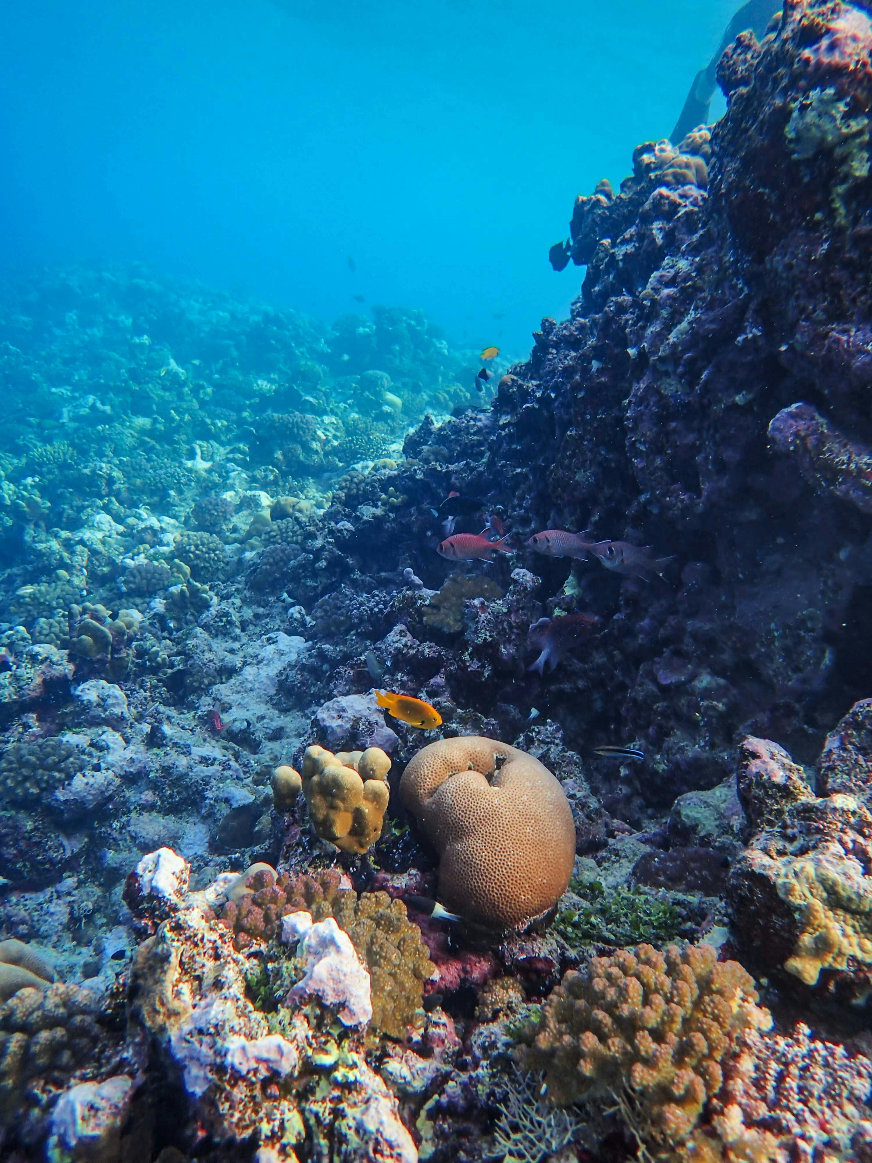 users photo José Alberto