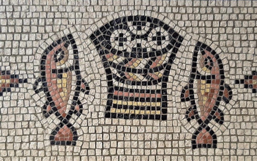 users photo José Manuel