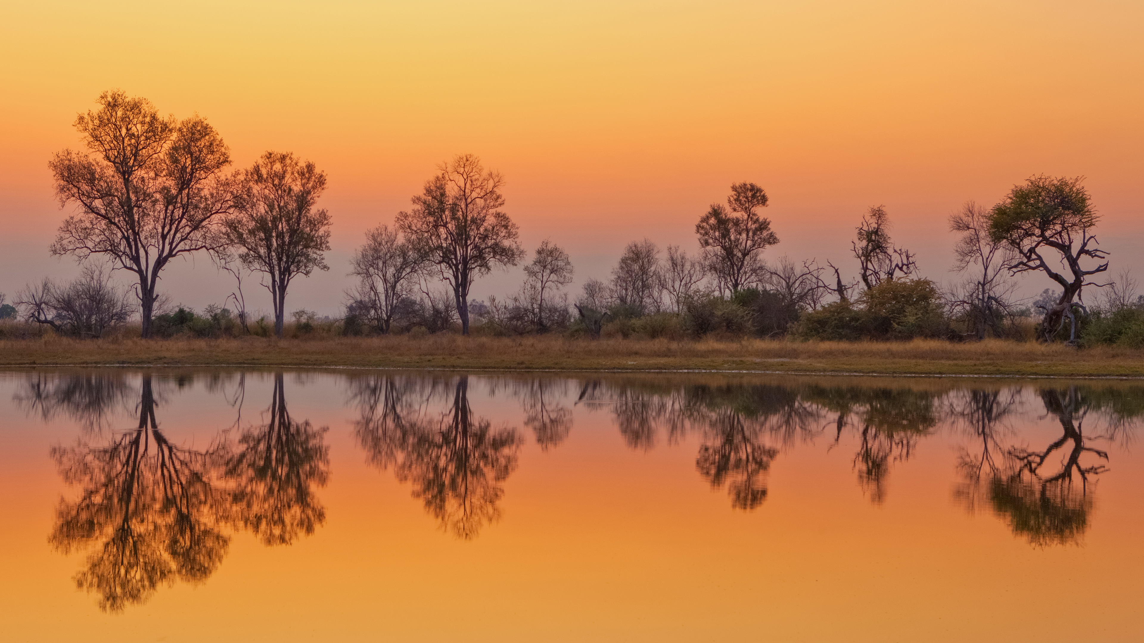 users photo berenice