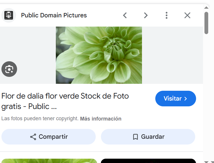 users photo Esperança