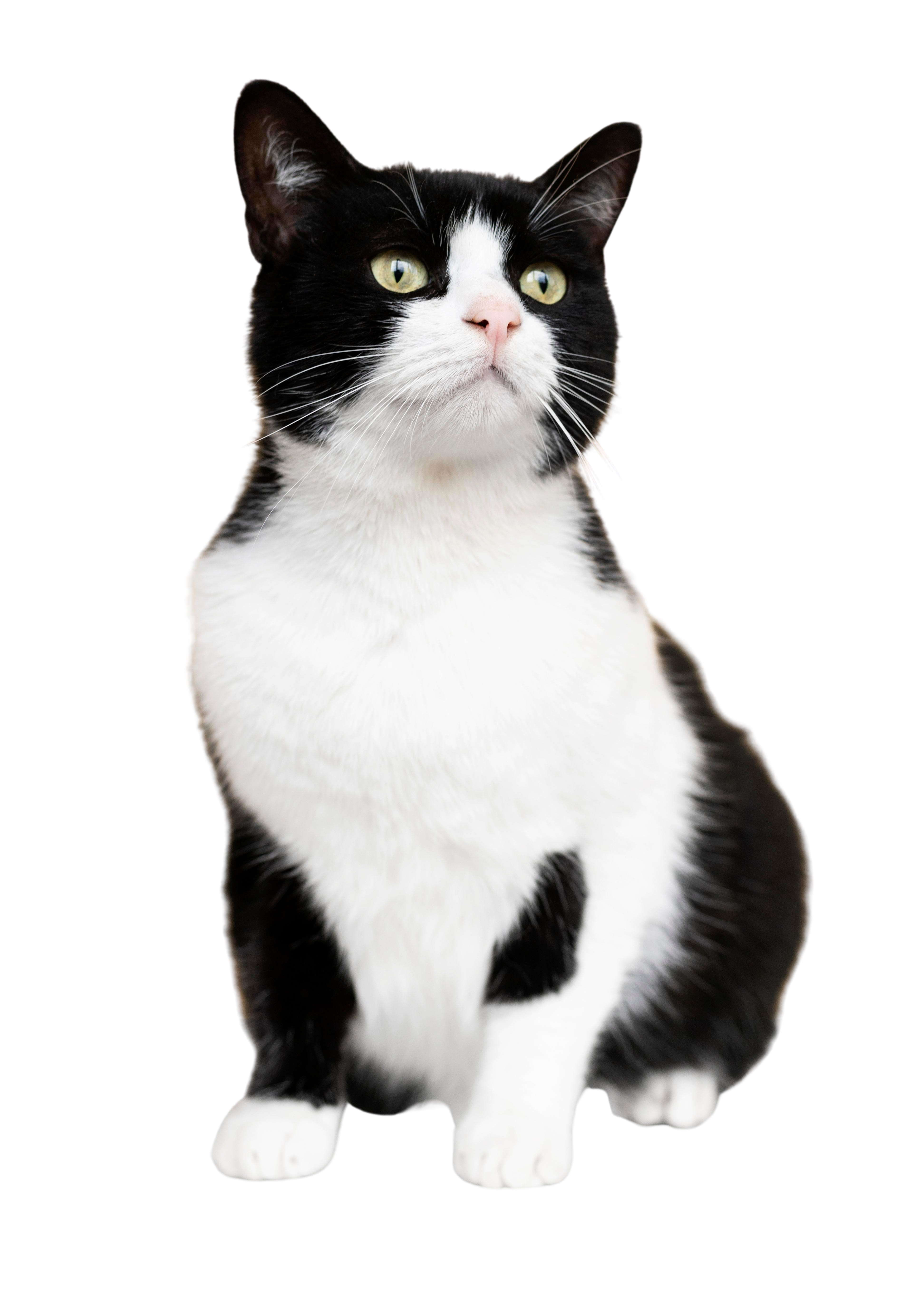 users photo Ma Carmen