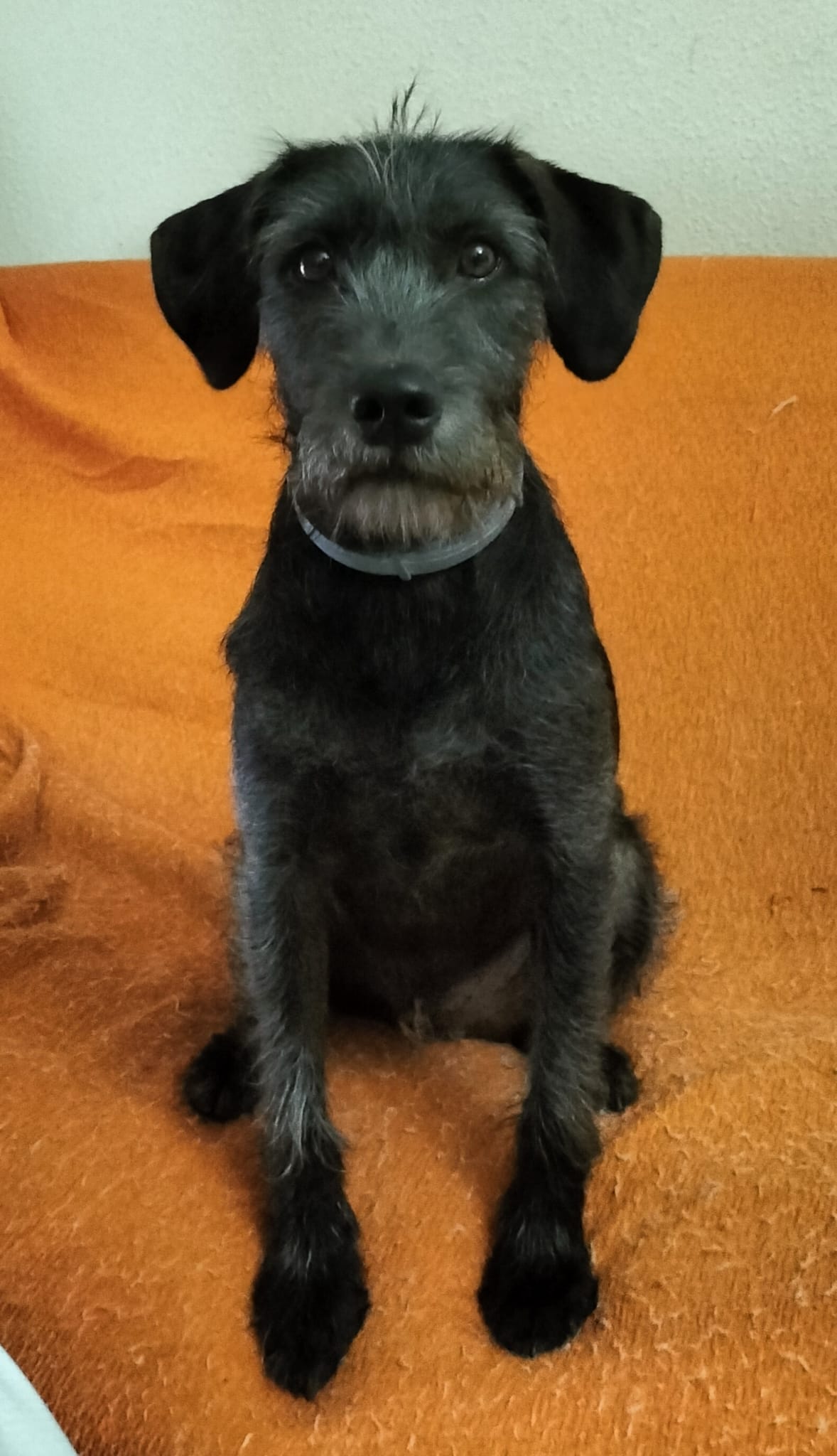 users photo MARÍA DEL ROSARIO