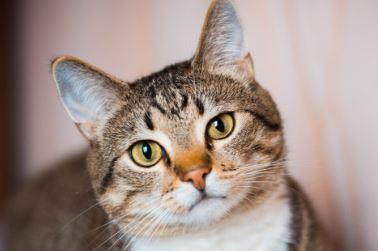 users photo Carolina