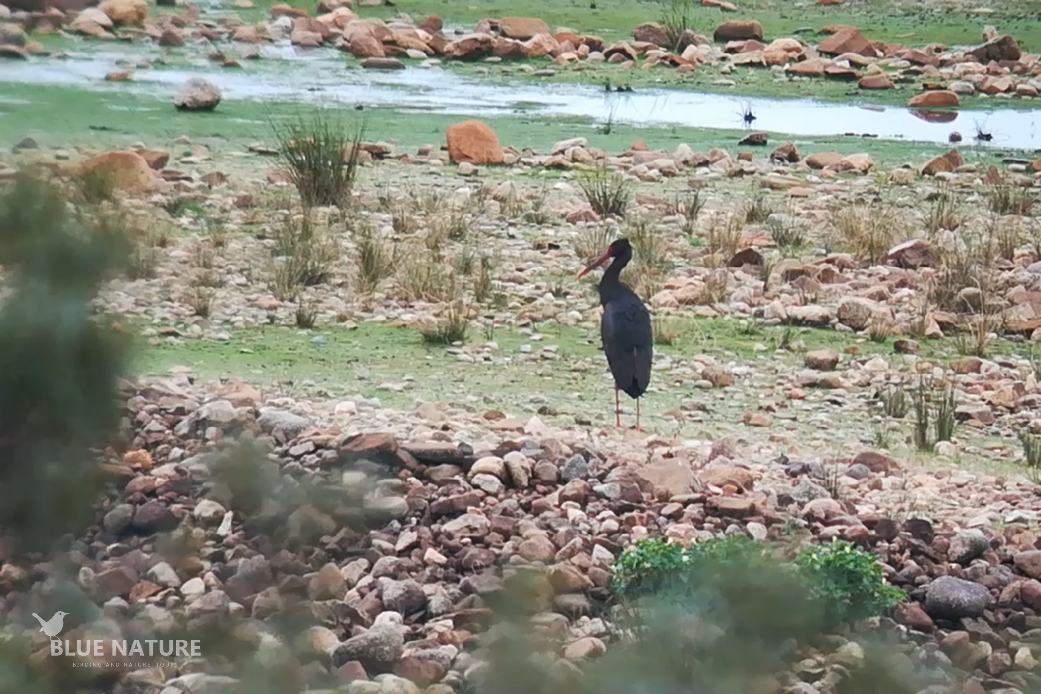 users photo María del Carmen