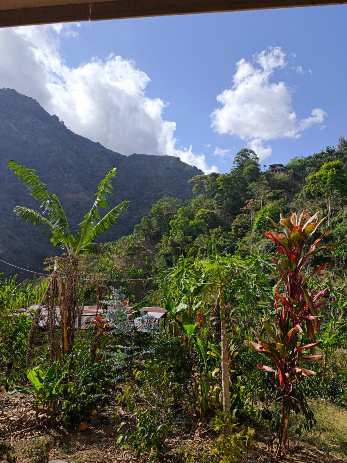 users photo Maricela