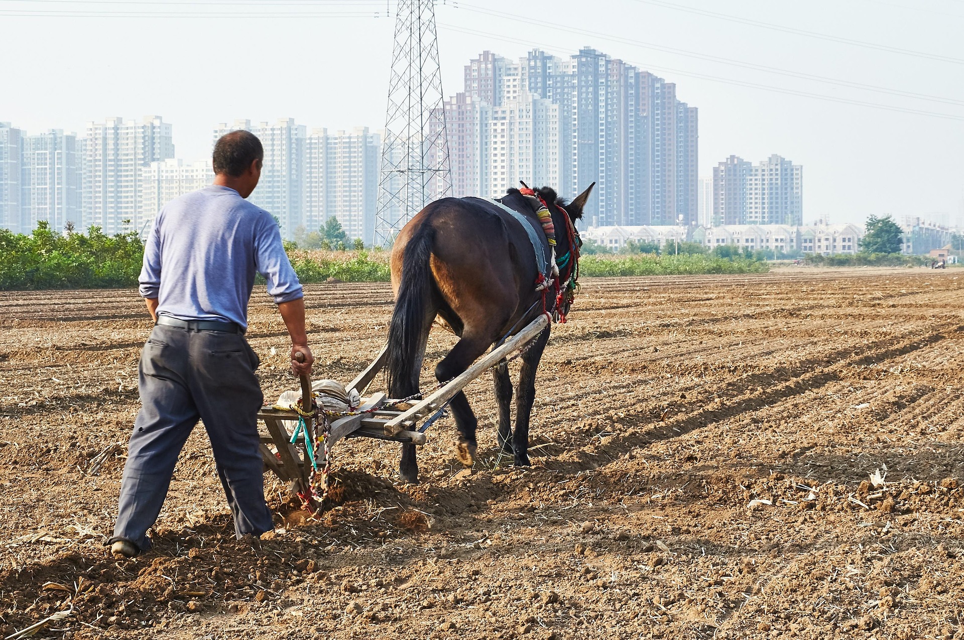 users photo María José