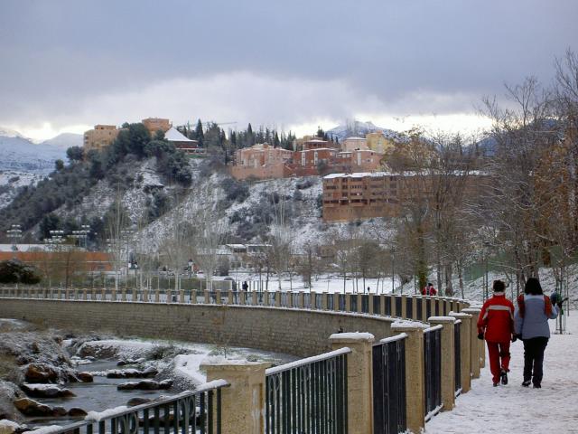image Río Genil y Paseo del Salón (Granada)
