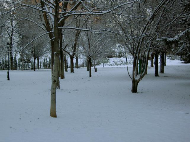 image Parque nevado en Granada
