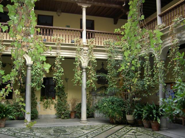 image Patio del Palacio de los Marqueses de Caicedo (Granada)