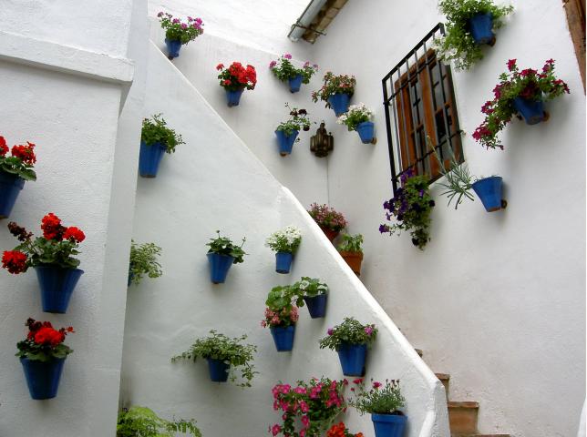 image Fiesta de los patios de Córdoba (España)