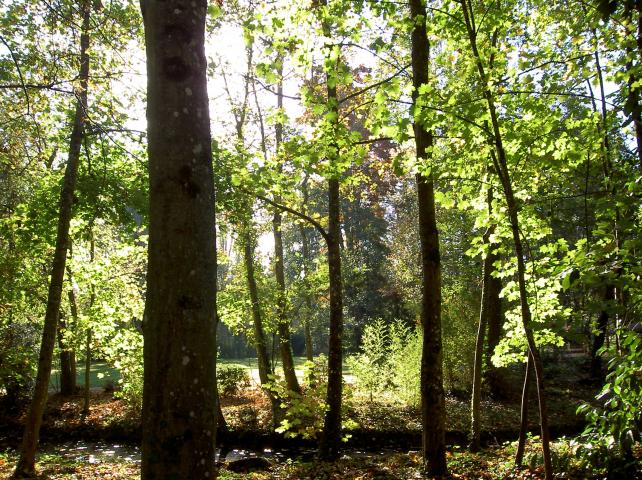 image Castillo de Clos Lucé, Amboise (Francia)