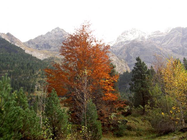 image Pirineos (Francia)