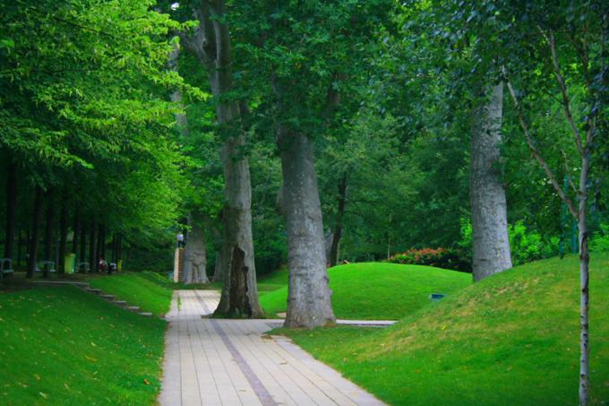 image Bosque de Vincennes, Paris (Francia)