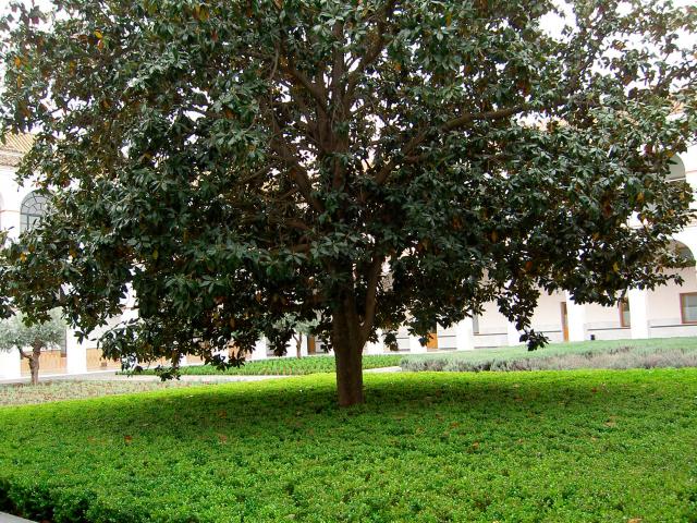 image Parlamento de Andalucía, Sevilla (España)