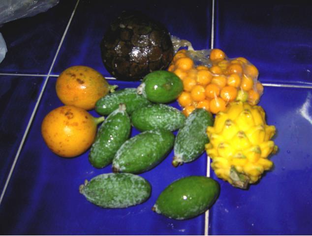 image Frutas (Colombia)