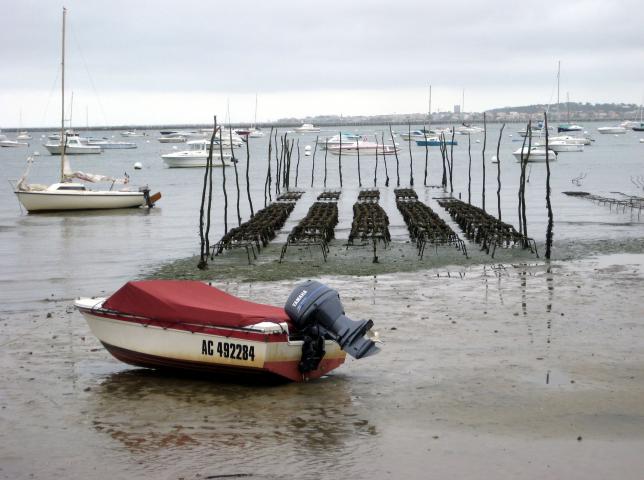 image Ostricultura en Arcachón (Francia)